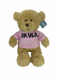 Customized Teddy bear Plush Toy