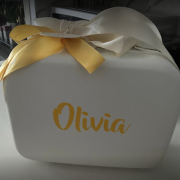 gorgeous baby girl luggage gift set